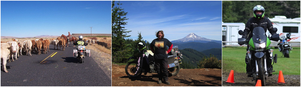 Jayne and KLR photo
        montage